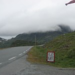 Vejsalg IMG_1909