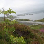 Atlanterhavsveien 3 IMG_1968