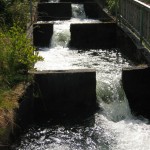 Laksetrappe ved Eidsfossen IMG_4236