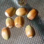 Cosford 20151002_132246 COSFORD