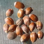 Nottingham 20151002_134135 NOTTINGHAM