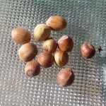 Ukendt navn 20151002_134319 UKENDT